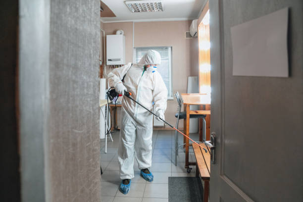 Best Emergency Mold Remediation  in Ossian, IN
