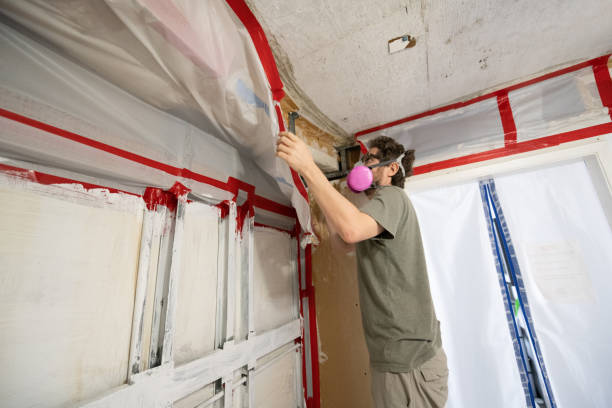 Best Attic Mold Removal  in Ossian, IN