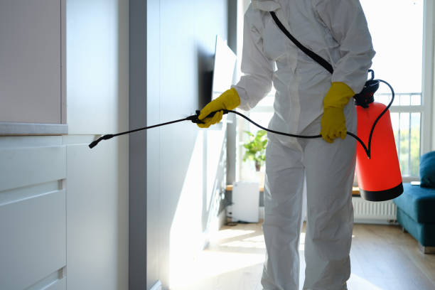 Best Comprehensive Air Testing for Mold Contaminants  in Ossian, IN