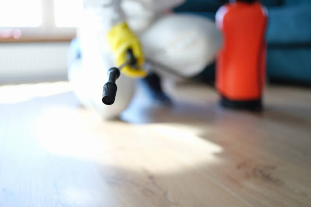Best Environmental Consulting for Mold Prevention  in Ossian, IN