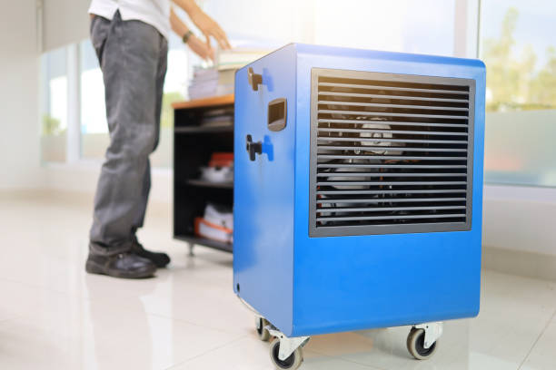 Best Mold Removal for HVAC Installations  in Ossian, IN