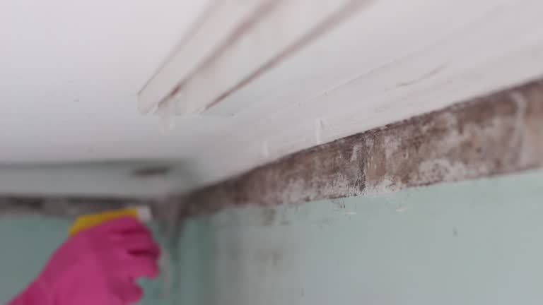 Best Indoor Air Quality Assessment  in Ossian, IN